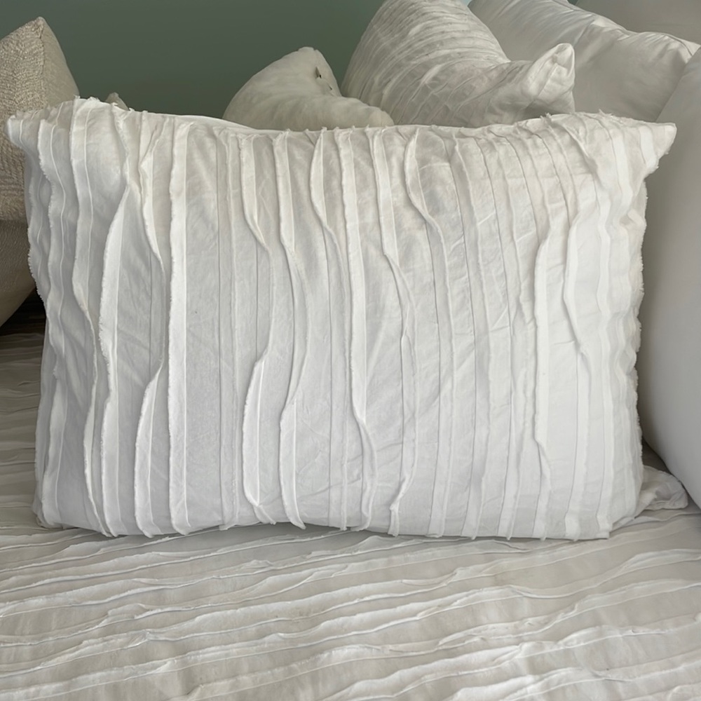 Pillow Sham Cover 1